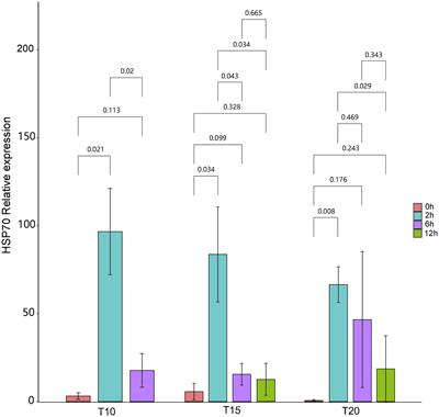 Temperature Acclimation Alters the Thermal Tolerance and Intestinal Heat Stress Response in a Tibetan Fish Oxygymnocypris stewarti